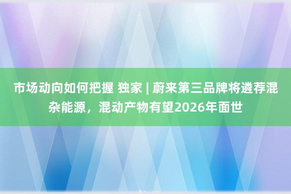 市场动向如何把握 独家 | 蔚来第三品牌将遴荐混杂能源，混动产物有望2026年面世