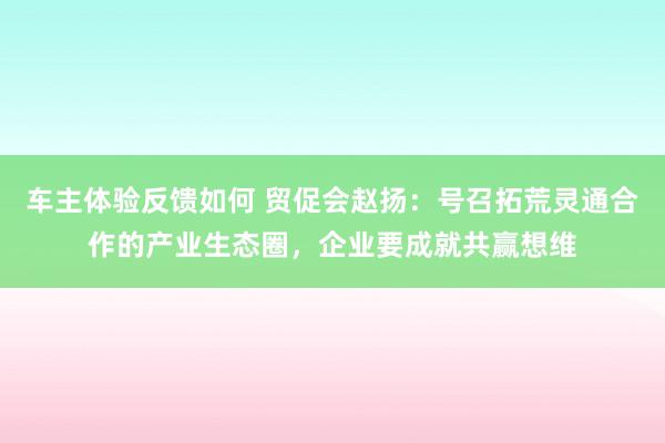 车主体验反馈如何 贸促会赵扬：号召拓荒灵通合作的产业生态圈，企业要成就共赢想维