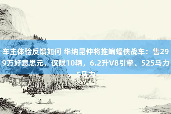 车主体验反馈如何 华纳昆仲将推蝙蝠侠战车：售299万好意思元，仅限10辆，6.2升V8引擎、525马力