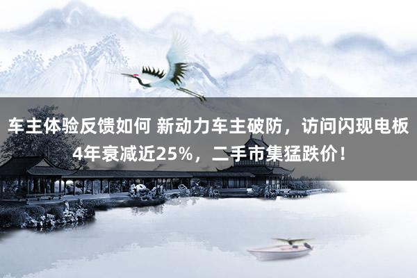 车主体验反馈如何 新动力车主破防，访问闪现电板4年衰减近25%，二手市集猛跌价！