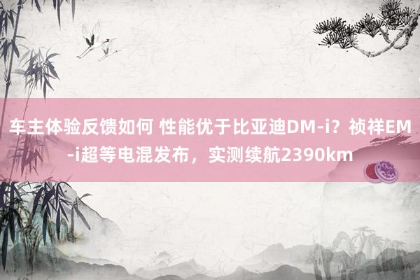 车主体验反馈如何 性能优于比亚迪DM-i？祯祥EM-i超等电混发布，实测续航2390km