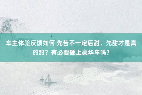 车主体验反馈如何 先苦不一定后甜，先甜才是真的甜？有必要硬上豪华车吗？