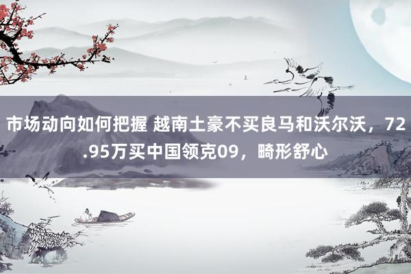 市场动向如何把握 越南土豪不买良马和沃尔沃，72.95万买中国领克09，畸形舒心