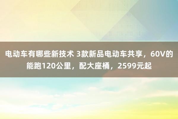 电动车有哪些新技术 3款新品电动车共享，60V的能跑120公里，配大座桶，2599元起