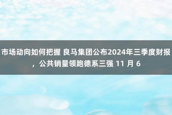 市场动向如何把握 良马集团公布2024年三季度财报，公共销量领跑德系三强 11 月 6