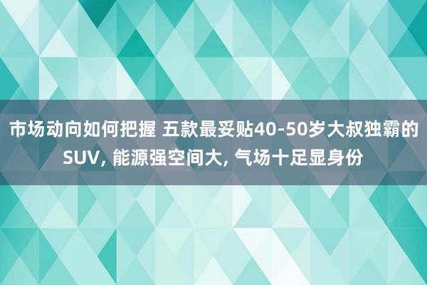 市场动向如何把握 五款最妥贴40-50岁大叔独霸的SUV, 能源强空间大, 气场十足显身份