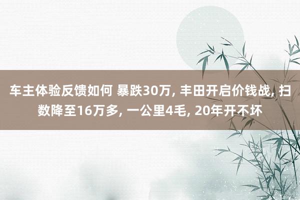 车主体验反馈如何 暴跌30万, 丰田开启价钱战, 扫数降至16万多, 一公里4毛, 20年开不坏