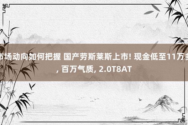 市场动向如何把握 国产劳斯莱斯上市! 现金低至11万多, 百万气质, 2.0T8AT