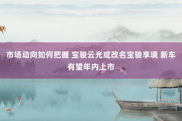 市场动向如何把握 宝骏云光或改名宝骏享境 新车有望年内上市