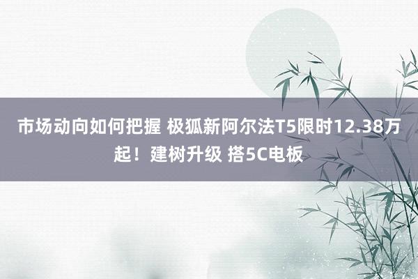 市场动向如何把握 极狐新阿尔法T5限时12.38万起！建树升级 搭5C电板