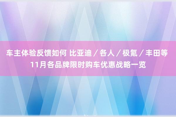 车主体验反馈如何 比亚迪／各人／极氪／丰田等 11月各品牌限时购车优惠战略一览