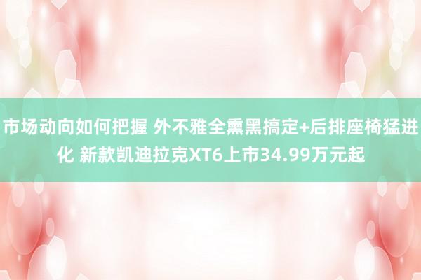 市场动向如何把握 外不雅全熏黑搞定+后排座椅猛进化 新款凯迪拉克XT6上市34.99万元起