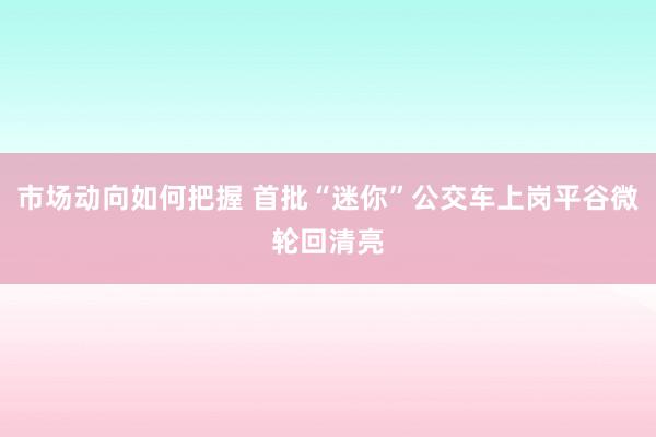 市场动向如何把握 首批“迷你”公交车上岗平谷微轮回清亮