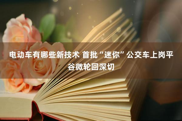 电动车有哪些新技术 首批“迷你”公交车上岗平谷微轮回深切