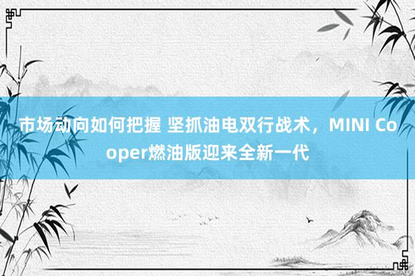 市场动向如何把握 坚抓油电双行战术，MINI Cooper燃油版迎来全新一代