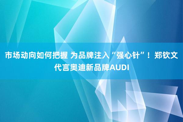 市场动向如何把握 为品牌注入“强心针”！郑钦文代言奥迪新品牌AUDI