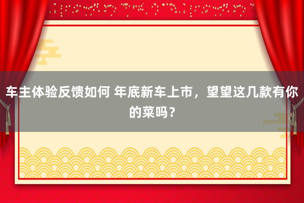 车主体验反馈如何 年底新车上市，望望这几款有你的菜吗？