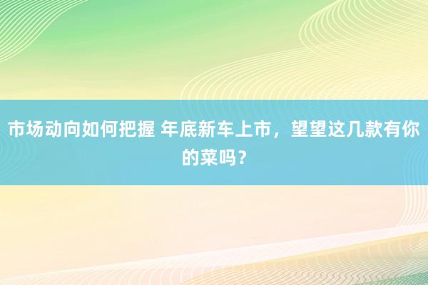 市场动向如何把握 年底新车上市，望望这几款有你的菜吗？