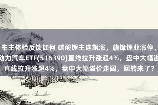 车主体验反馈如何 碳酸锂主连飙涨，赣锋锂业涨停、宁德时间涨3%，新动力汽车ETF(516390)直线拉升涨超4%，盘中大幅溢价走阔，回转来了？