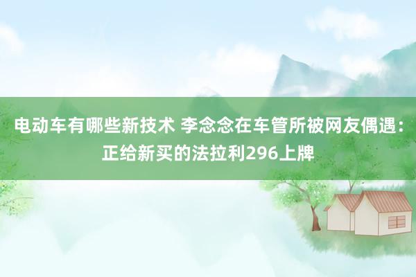 电动车有哪些新技术 李念念在车管所被网友偶遇：正给新买的法拉利296上牌