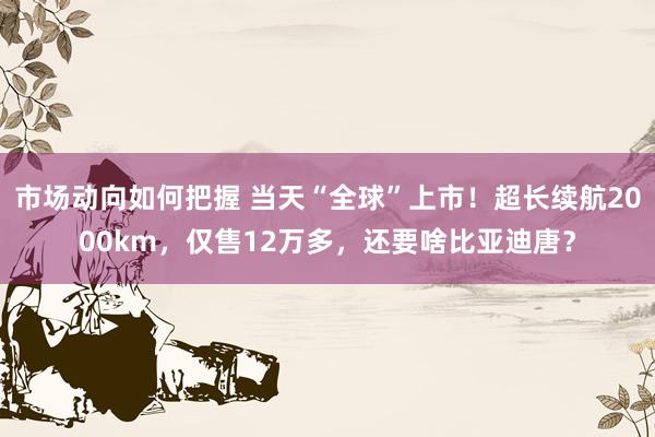 市场动向如何把握 当天“全球”上市！超长续航2000km，仅售12万多，还要啥比亚迪唐？