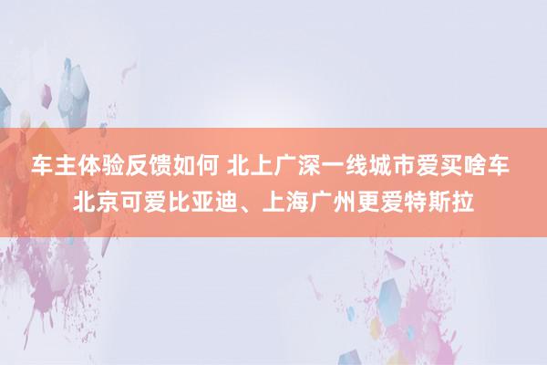 车主体验反馈如何 北上广深一线城市爱买啥车 北京可爱比亚迪、上海广州更爱特斯拉