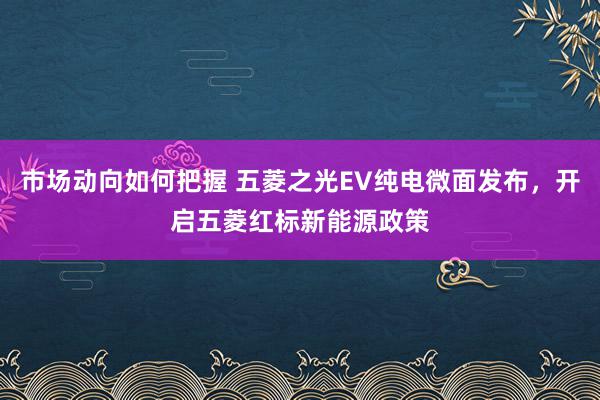 市场动向如何把握 五菱之光EV纯电微面发布，开启五菱红标新能源政策