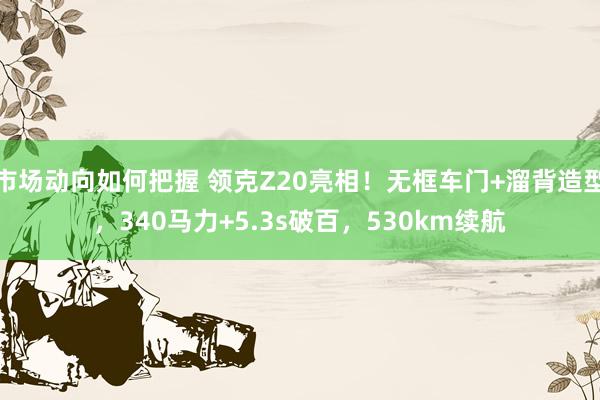 市场动向如何把握 领克Z20亮相！无框车门+溜背造型，340马力+5.3s破百，530km续航