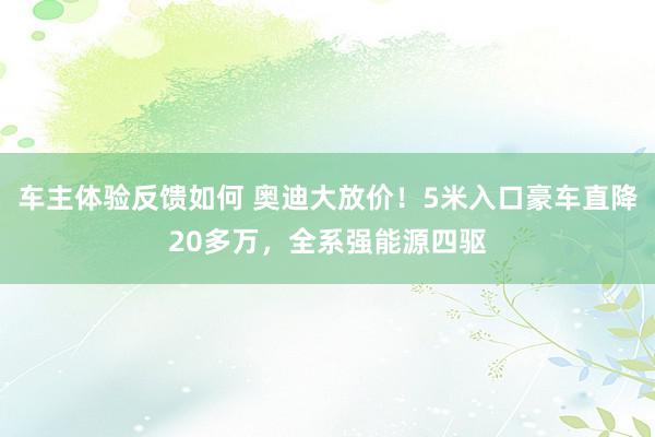 车主体验反馈如何 奥迪大放价！5米入口豪车直降20多万，全系强能源四驱