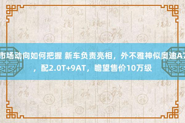 市场动向如何把握 新车负责亮相，外不雅神似奥迪A7，配2.0T+9AT，瞻望售价10万级