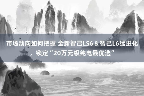 市场动向如何把握 全新智己LS6＆智己L6猛进化，锁定“20万元级纯电最优选”