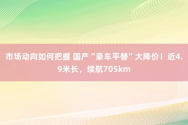 市场动向如何把握 国产“豪车平替”大降价！近4.9米长，续航705km