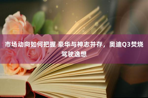 市场动向如何把握 豪华与神志并存，奥迪Q3焚烧驾驶逸想