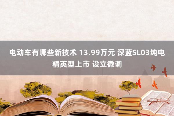 电动车有哪些新技术 13.99万元 深蓝SL03纯电精英型上市 设立微调