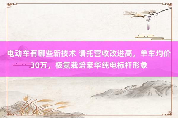 电动车有哪些新技术 请托营收改进高，单车均价30万，极氪栽培豪华纯电标杆形象