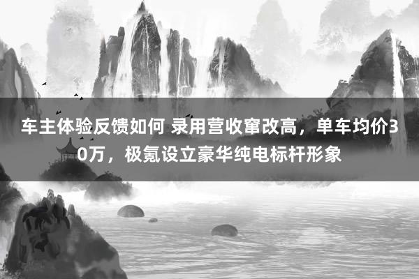 车主体验反馈如何 录用营收窜改高，单车均价30万，极氪设立豪华纯电标杆形象