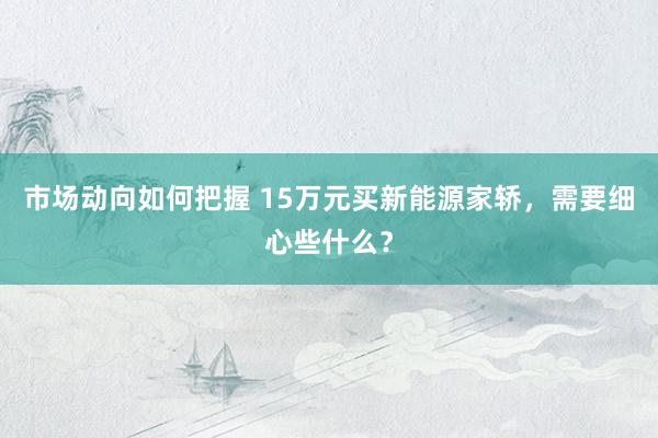 市场动向如何把握 15万元买新能源家轿，需要细心些什么？