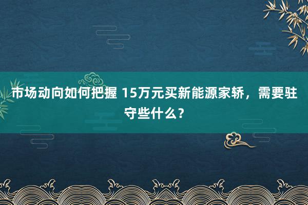 市场动向如何把握 15万元买新能源家轿，需要驻守些什么？