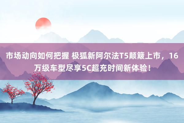 市场动向如何把握 极狐新阿尔法T5颠簸上市，16万级车型尽享5C超充时间新体验！