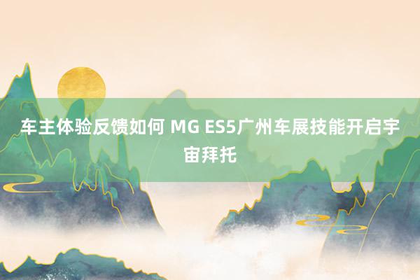 车主体验反馈如何 MG ES5广州车展技能开启宇宙拜托