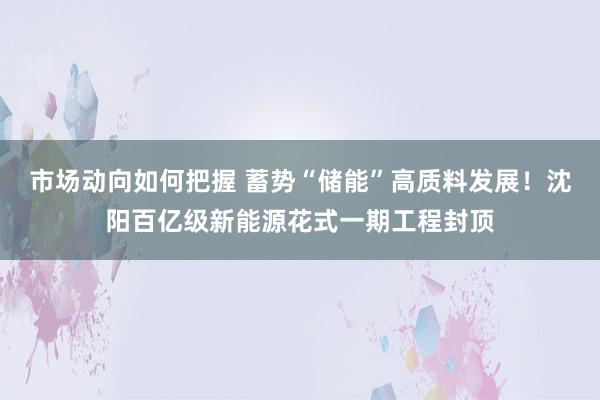 市场动向如何把握 蓄势“储能”高质料发展！沈阳百亿级新能源花式一期工程封顶