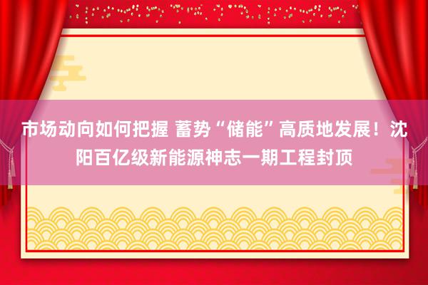 市场动向如何把握 蓄势“储能”高质地发展！沈阳百亿级新能源神志一期工程封顶