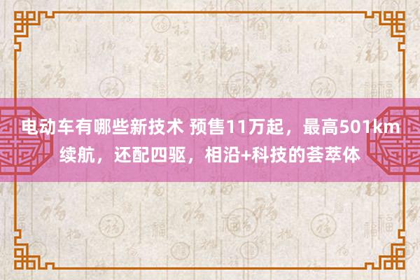 电动车有哪些新技术 预售11万起，最高501km续航，还配四驱，相沿+科技的荟萃体