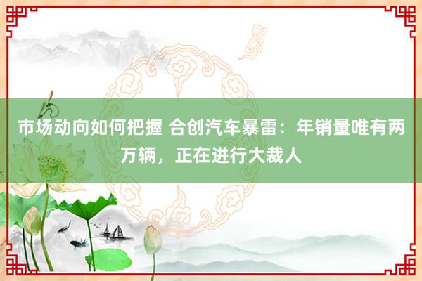 市场动向如何把握 合创汽车暴雷：年销量唯有两万辆，正在进行大裁人