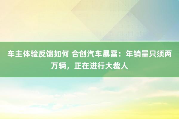 车主体验反馈如何 合创汽车暴雷：年销量只须两万辆，正在进行大裁人