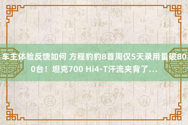 车主体验反馈如何 方程豹豹8首周仅5天录用量破800台！坦克700 Hi4-T汗流夹背了…