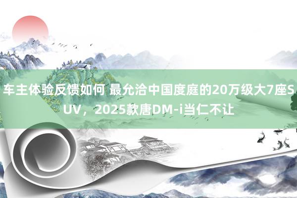 车主体验反馈如何 最允洽中国度庭的20万级大7座SUV，2025款唐DM-i当仁不让