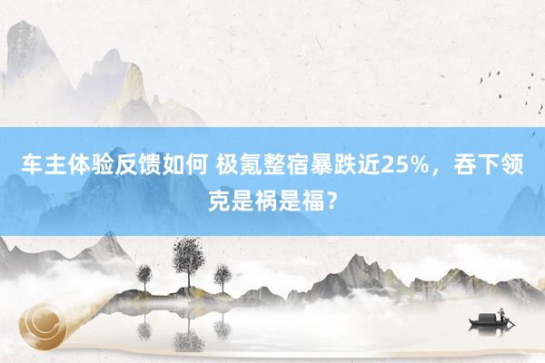 车主体验反馈如何 极氪整宿暴跌近25%，吞下领克是祸是福？