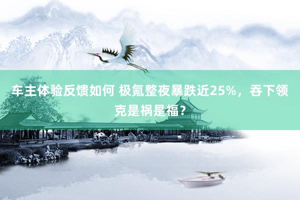 车主体验反馈如何 极氪整夜暴跌近25%，吞下领克是祸是福？