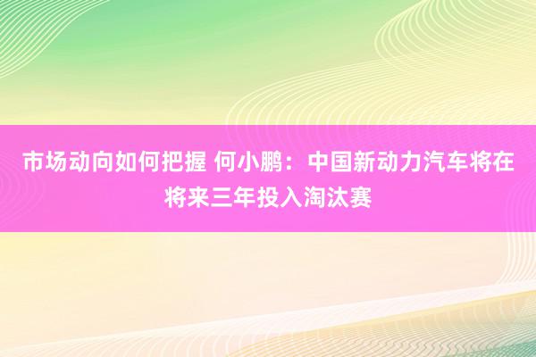 市场动向如何把握 何小鹏：中国新动力汽车将在将来三年投入淘汰赛